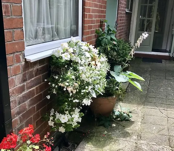 Guest house Dairy 4*